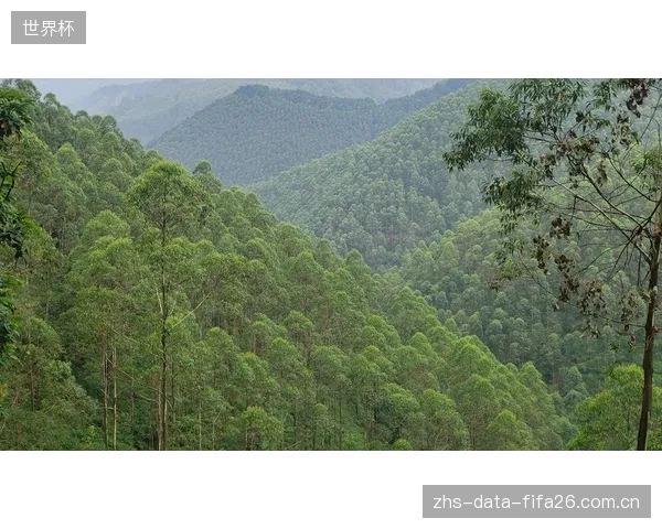 只为“固碳”而种植的单一树种项目,是否正在忽视对本地生物多样性的潜在破坏? 只为“固碳”而种植的单一树种项目,是否正在忽视对本地生物多样性的潜在破坏?